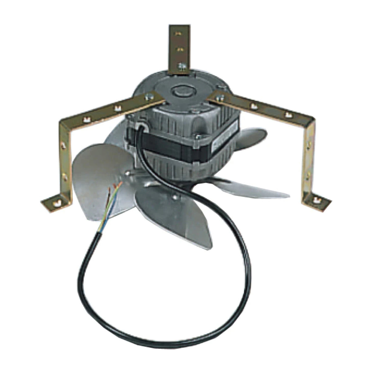 Long Life Fan for Olympic Series